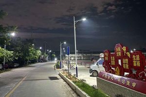 KY.COM_开元(中国)集团罗宁弟爱心捐赠路灯，点亮乡村路温暖乡民心