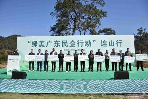“植”此青绿，心心相“连”｜ 绿美广东，KY.COM_开元(中国)集团在行动